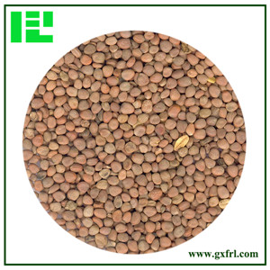 White Mustard Seed Extract