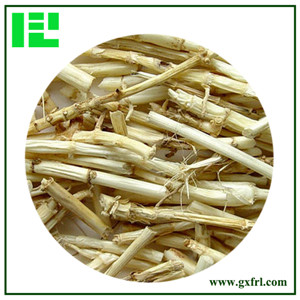 Lalang Grass Rhizome Extract