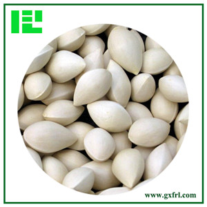 Ginkgo Seed Extract