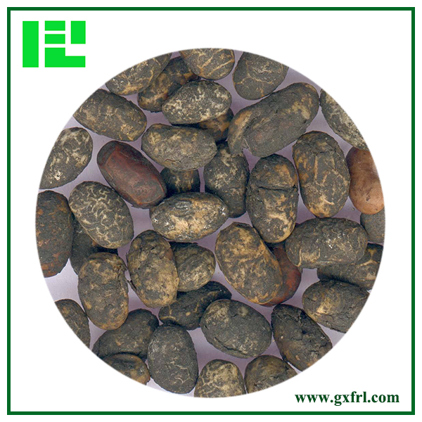 Fermented Soybean Extract