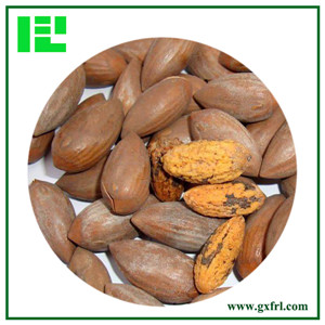 Grand Torreya Seed Extract