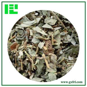 Wrinkled Gianthyssop Herb Extract