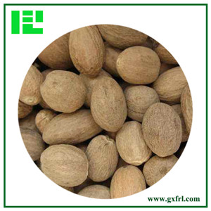 Nutmeg Extract