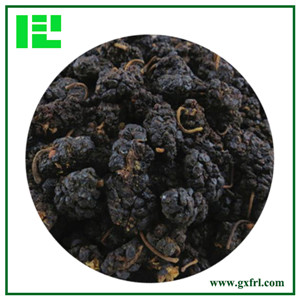 Mulberry Fruit Extract