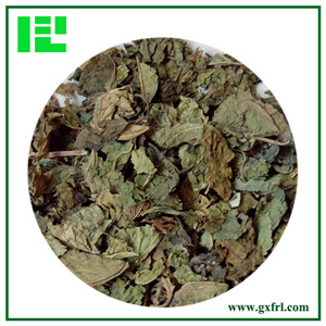 Mulberry Leaf Extract