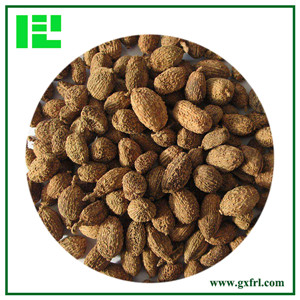 Villous Amomum Fruit Extract