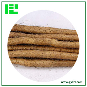 Common Yam Rhizome Extract