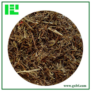 Chinese Mosla Herb Extract